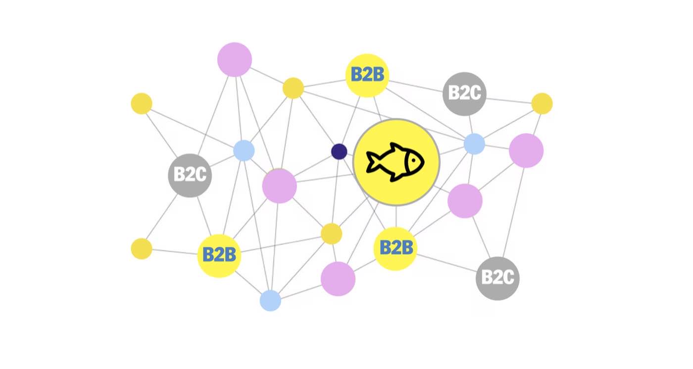 Netzwerkgrafik aus B2B- und B2C-Kontakten rund um einen Fisch